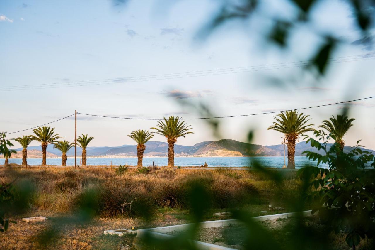 Sea View Residence Nea Kios Zewnętrze zdjęcie